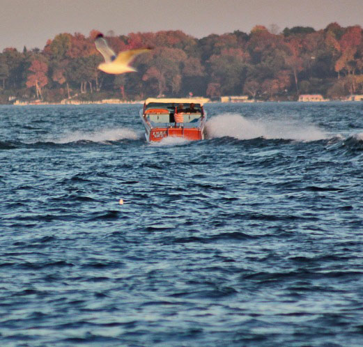 20121022-boat_sea_gull_.jpg